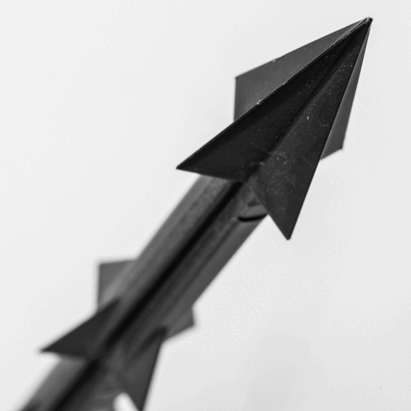 focus stacking z fp360